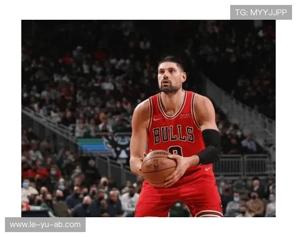 武切维奇领衔芝加哥内线强势崛起，球队禁区统治力大幅提升